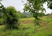 Sòl urbà en venda a Sucamiño ref.: TR412847 foto