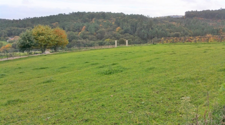 Pontevedra - Silleda - 11000m2