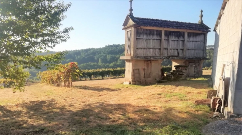 Pontevedra - Silleda - 11000m2