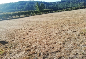 Silleda 11000&nbsp;m²