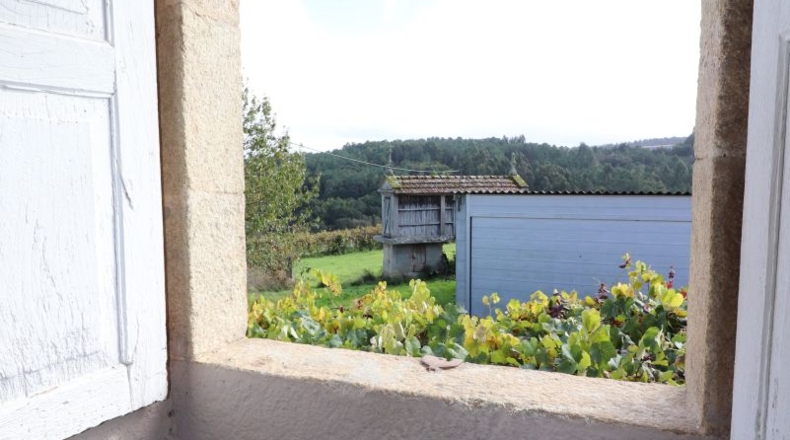 Pontevedra - Silleda - 11000m2