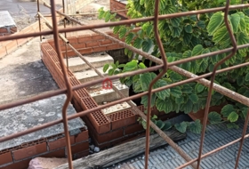 Foto 7