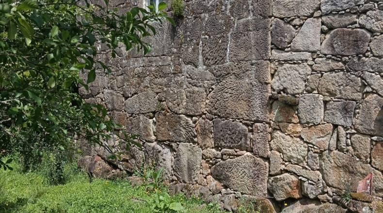 Pontevedra - Pontevedra - 8000m2