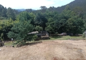 Finca rústica en venta en Cotobade ref: TR371592 foto