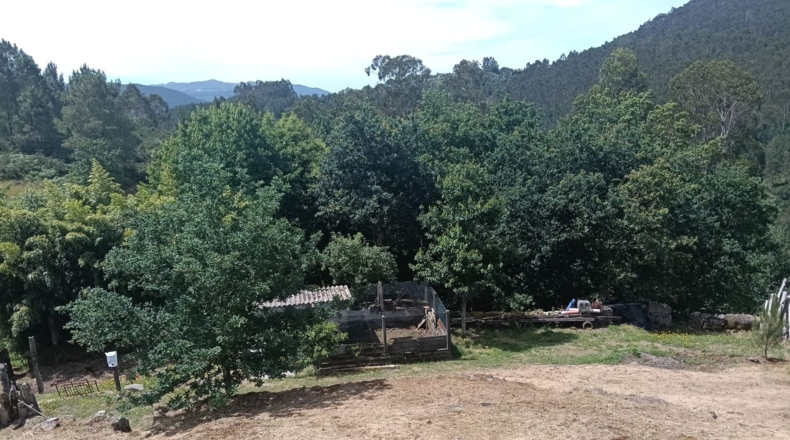 Pontevedra - Pontevedra - 8000m2