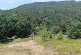 Cotobade 8000&nbsp;м²