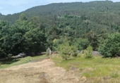 Finca rústica en venta en Cotobade ref: TR371592 foto