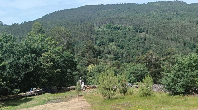 Pontevedra - Pontevedra - 8000m2