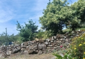 Finca rústica en venta en Cotobade ref: TR371592 foto