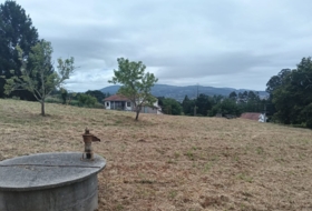 Pontevedra 3177&nbsp;m²