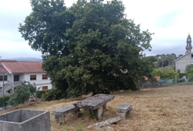 Pontevedra 3177&nbsp;m²