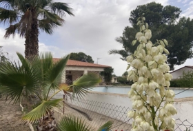 Caudete 979&nbsp;m²