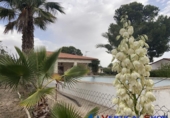 Chalet independiente con terreno en venta en Caudete ref: TR252194 foto
