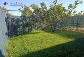 Castellanos de Moriscos 225&nbsp;m²