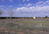 Finca rústica en venta en Valdepeñas ref: TR412854 foto