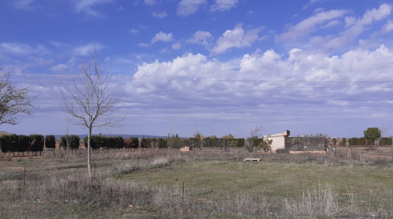 Ciudad Real - Valdepeñas - 16377m2