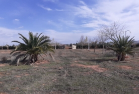 Valdepeñas 16377&nbsp;m²