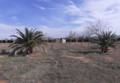 Finca rústica en venta en Valdepeñas ref: TR412854 foto
