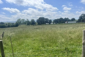 Pola de Siero 1300&nbsp;m²