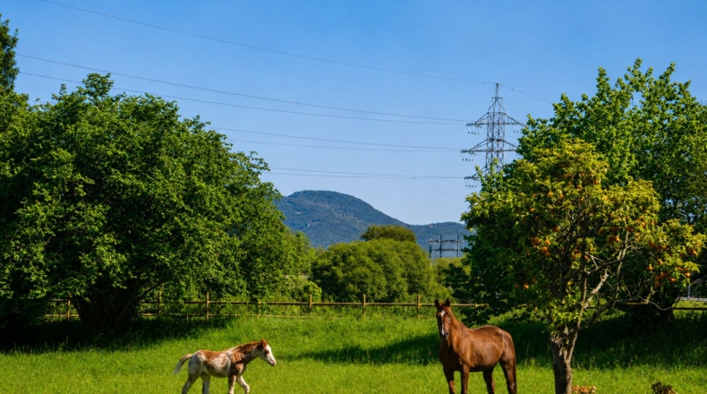 Cantabria - Colindres - 3706m2