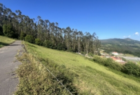 Quexu 1500&nbsp;m²