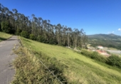 Suelo urbano en venta en Quexu ref: TR412862 foto