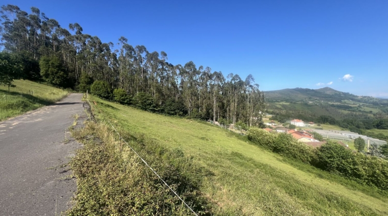 Asturias - Quexu - 1500m2