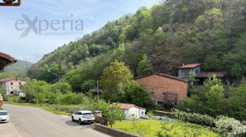 Asturias - Pola de Laviana - 1000m2