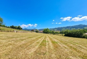 Grado 2000&nbsp;m²