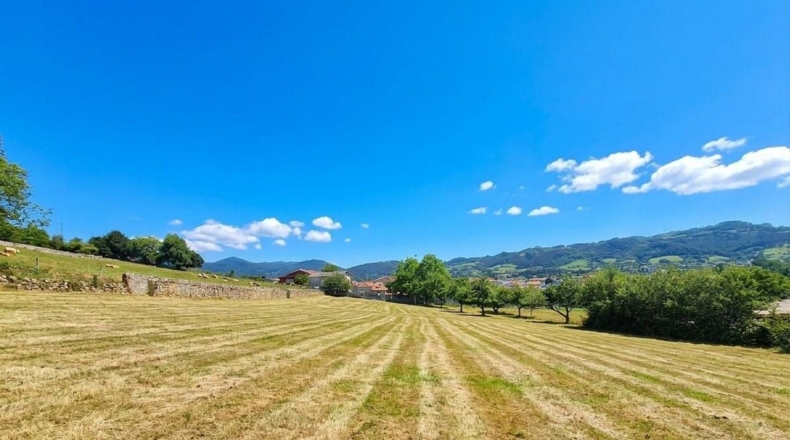 Asturias - Grado - 2000m2