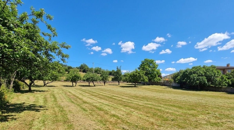 Asturias - Grado - 2000m2