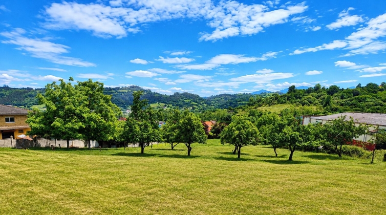 Asturias - Grado - 2000m2