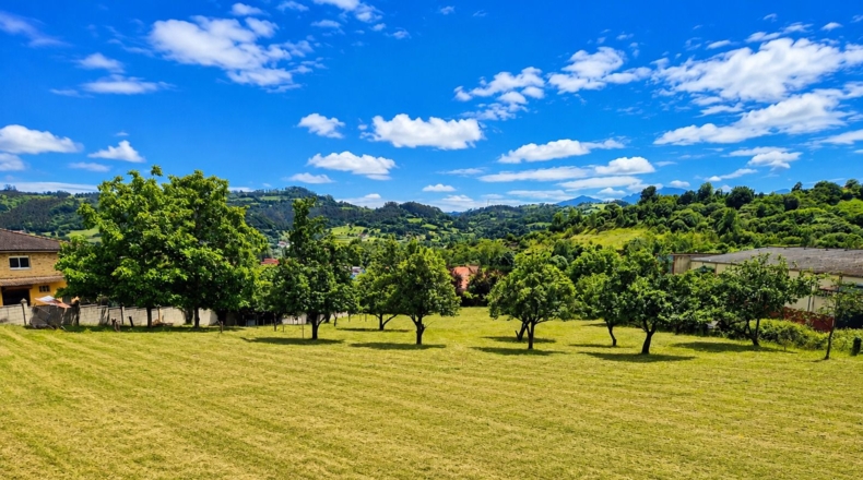 Asturias - Grado - 2000m2