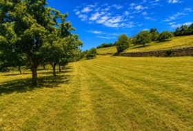 Grado 2000&nbsp;m²