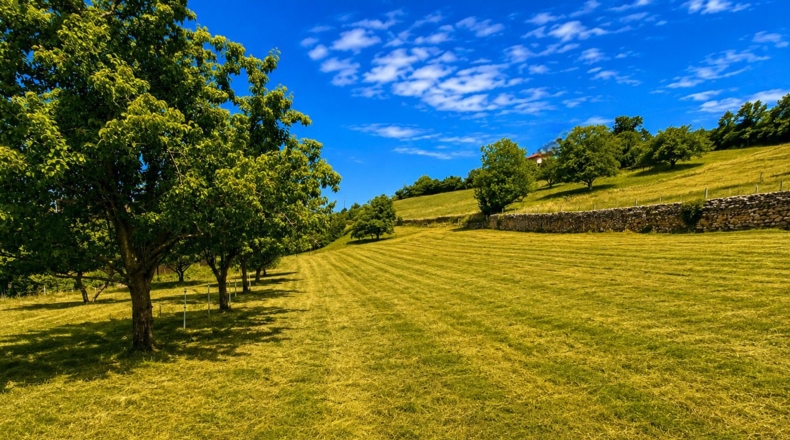 Asturias - Grado - 1100m2