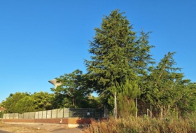 Laguna de Duero 6700&nbsp;м²