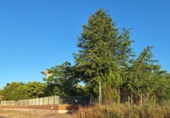 Земля на продажу у города Laguna de Duero Фото