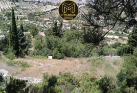 Torredelcampo 2349&nbsp;m²