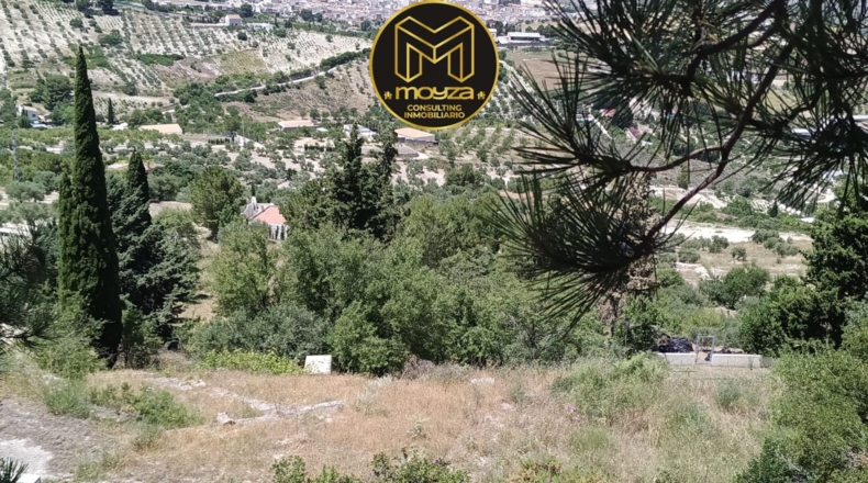 Jaén - Torredelcampo - 2349m2