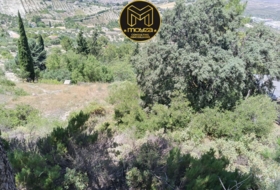 Torredelcampo 2349&nbsp;m²