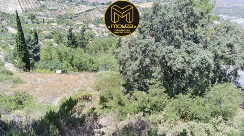 Jaén - Torredelcampo - 2349m2
