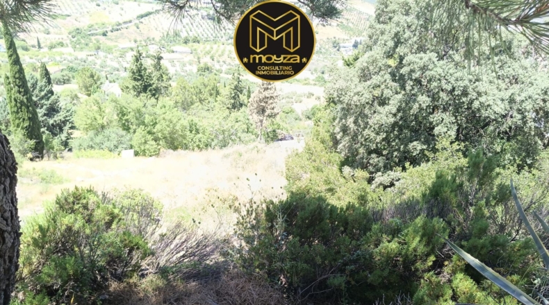 Jaén - Torredelcampo - 2349m2