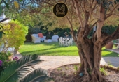 Villa con terreno en venta en Estepona ref: TR412905 foto