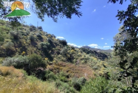Villanueva de Algaidas 4930&nbsp;m²