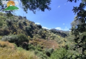 Finca rústica en venta en la España, Villanueva de Algaidas, ref: TR412896 foto