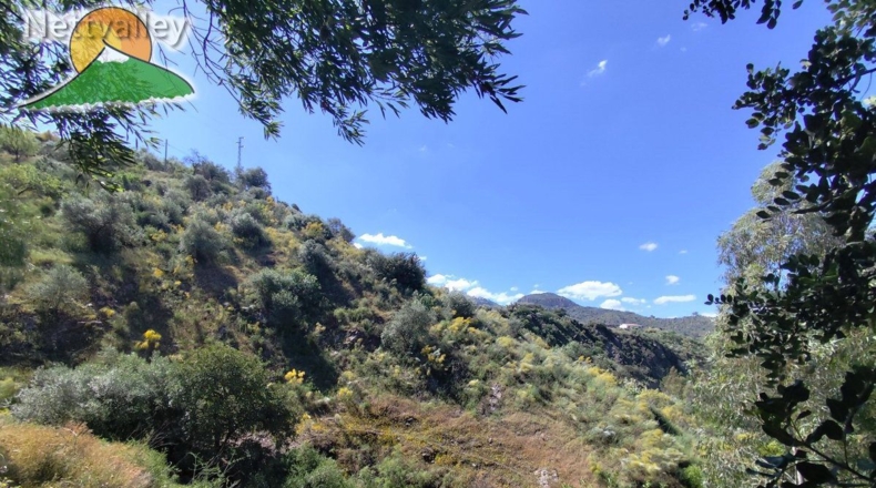 Málaga - Villanueva de Algaidas - 4930m2