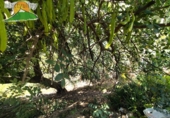 Finca rústica en venta en la España, Villanueva de Algaidas, ref: TR412896 foto