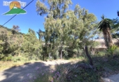 Finca rústica en venta en la España, Villanueva de Algaidas, ref: TR412896 foto