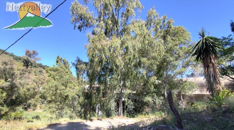 Málaga - Villanueva de Algaidas - 4930m2