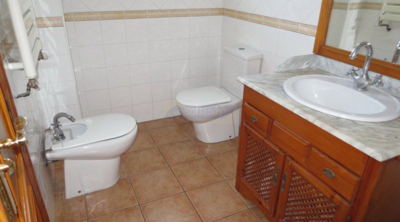 Murcia - Murcia - 700m2